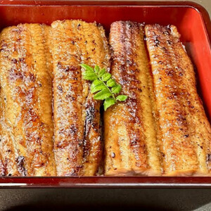 国産うなぎの蒲焼き 3尾（合計525g）