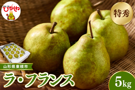 【2026年産 先行受付】東根市産ラ・フランス 約5kg(玉数おまかせ) 特秀品 ベジフルひがしね 山形県 東根市 hi104-015（西洋梨 洋梨 ラフランス フルーツ 果物 くだもの 産地直送 期間限定 特産品 お取り寄せ グルメ 旬 東北 山形県 東根市 送料無料 ふるさと納税）