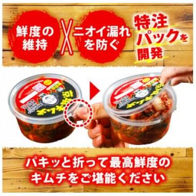ふるさと納税 志摩市 自家製ヤンニョム　京城キムチの素400g(200g×2パック セット) |  | 03