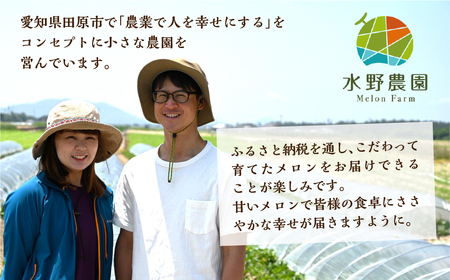 【先行予約】2027年7月お届け タカミメロン 大玉１玉 メロン 水野農園