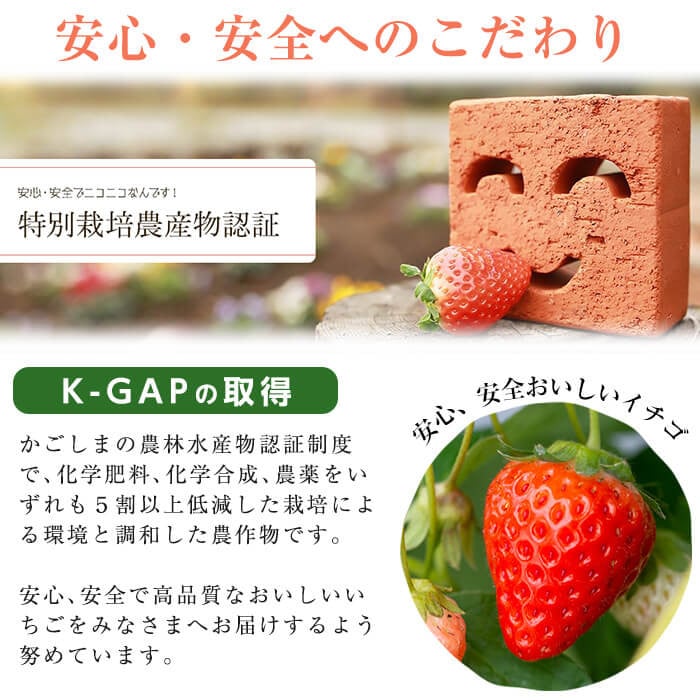 〈先行予約受付中！〉鹿児島県産いちご！特別栽培農産物 いちごの村から朝摘み「淡雪」8Pセット(計2kg・約270g×8P) e0-047