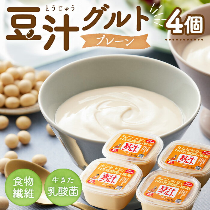 【ふるさと納税】プレマラボ 豆汁グルト　プレーン ／ 植物性ヨーグルト 450g×4 冷凍 大豆発酵食品 国産大豆 NS乳酸菌 おから オリゴ糖 発酵食品 丸ごと大豆 プレマラボ No.576