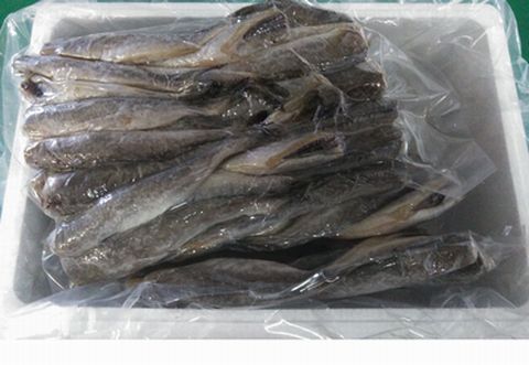 【北海道根室産】生干しこまい500g×4P A-57033