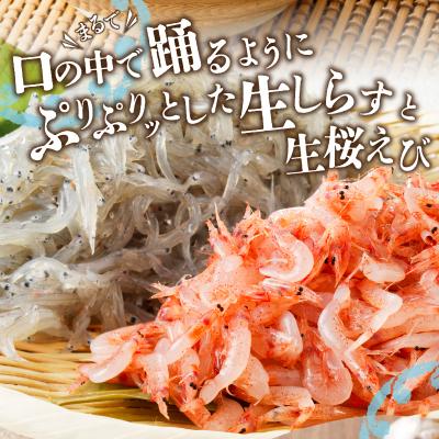 ふるさと納税 焼津市 【定期便 3回】 焼津産生しらす(100g×3) 生桜えび(70g×3個)(a30-221) |  | 01