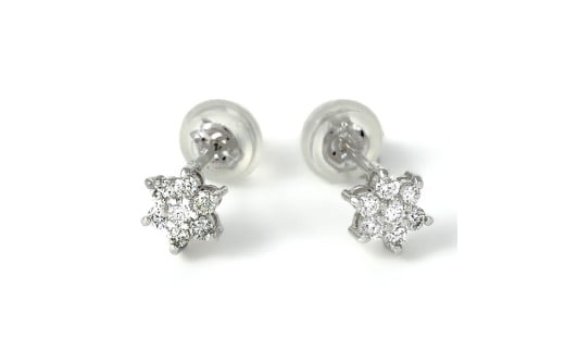 プラチナダイヤ　ピアス　トータル0.2ct　E280DI-P NSAN007