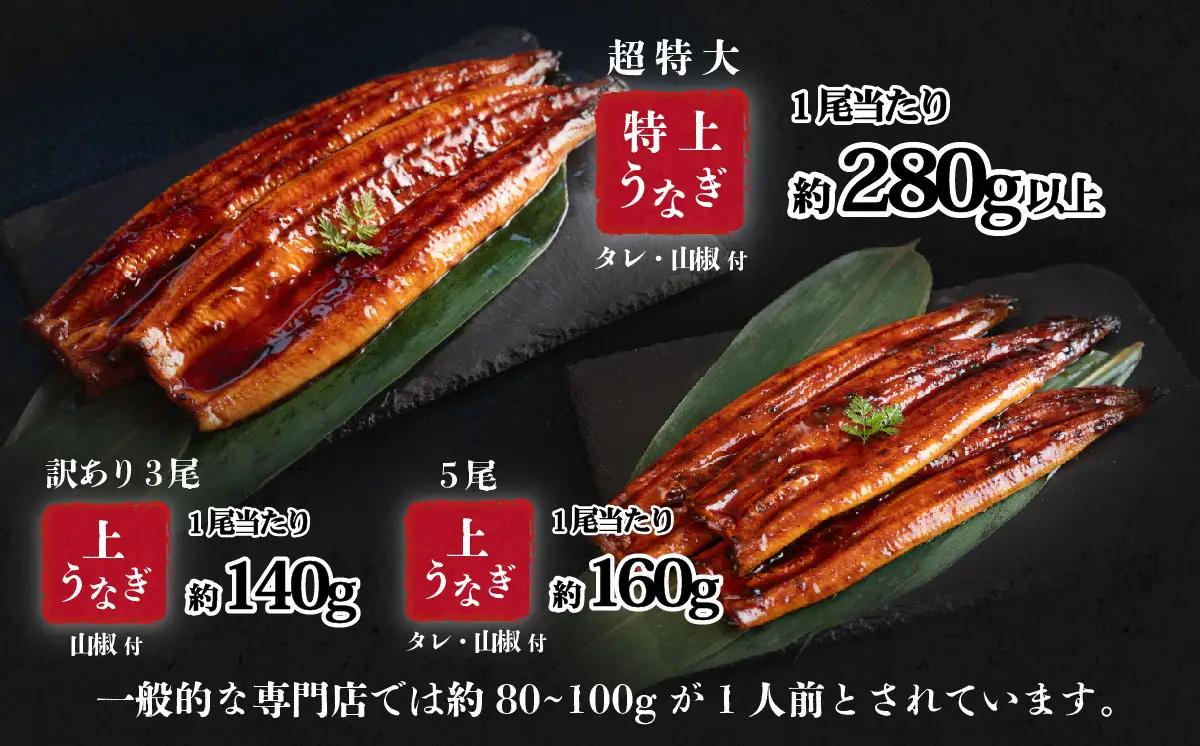 うなぎ 国産 特上 ウなぎ 蒲焼き 2尾 570g以上 ウナギ 化粧箱 父の日