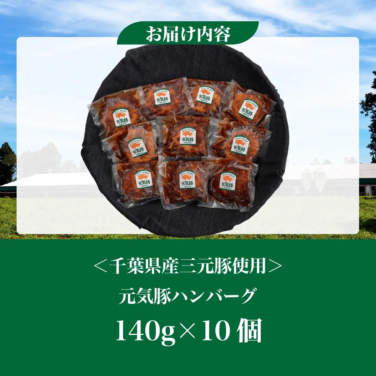 元気豚デミグラスハンバーグ 10個セット(140g×10個入)_肉  豚肉 _【配送不可地域：離島・沖縄県】 TAKB069