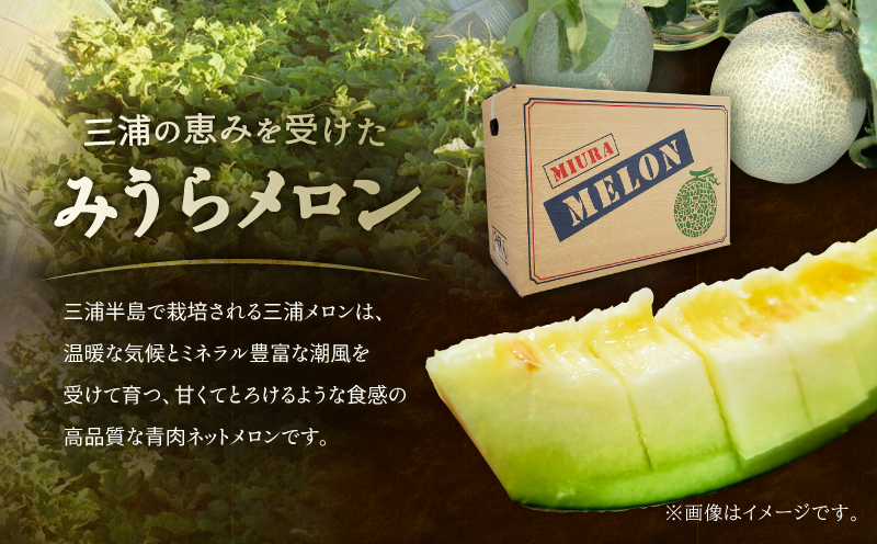 ＜先行予約＞三浦メロン（大玉2個）　M080-002-01