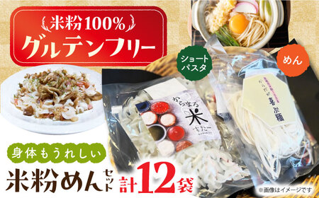 高槻産 米粉 100％ 米粉めんセット 大阪府高槻市/株式会社高谷 米粉 麺 お米 グルテンフリー 小麦粉[AOAW021]