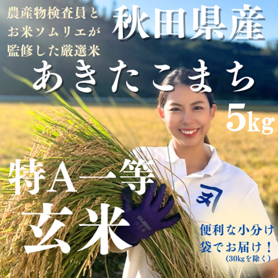 令和7年産 特A 秋田県産 あきたこまち 玄米 5kg 米【(株)鈴木又五郎商店】[B4-2301]