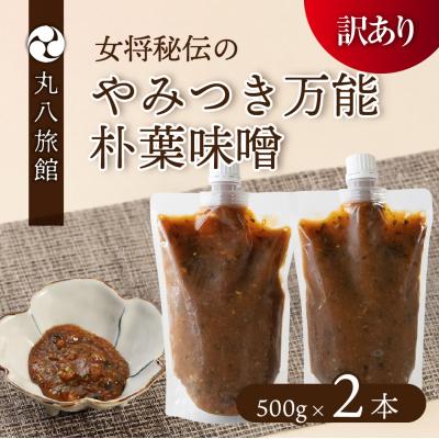 ふるさと納税 下呂市 【訳あり】やみつき万能朴葉味噌 500g×2本【53-35】