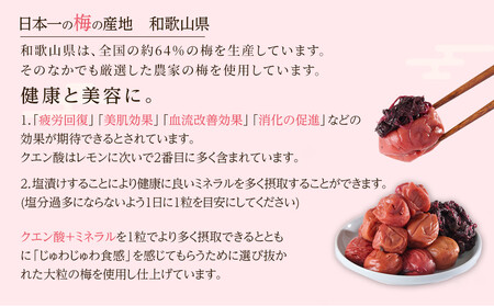 紀州南高梅 紫蘇梅 350g×2 塩分15％ [定期便 毎月発送・全3回]
