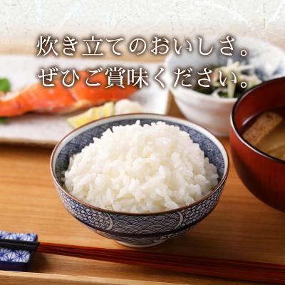 ふるさと納税 焼津市 令和7年産 別格 こしひかり 白米 5kg(a13-132) |  | 02