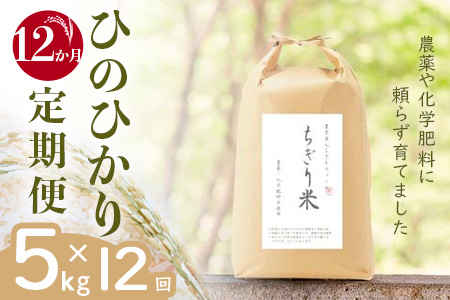 【令和6年新米・先行受付】《12か月定期便》無農薬米 ひのひかり ちぎり米 5kg×12回【佐賀県産 米 コメ ヒノヒカリ 夢しずく 精米 白米】JH6-A091302