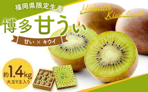福岡県産 博多 甘うぃ 約1.4kg 大玉9玉入り【2025年10月下旬～11月下旬発送予定】※北海道・沖縄・離島配送不可