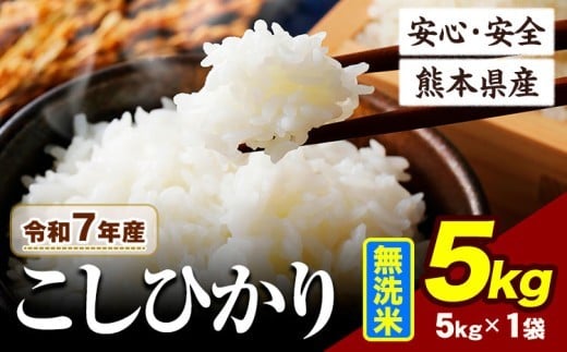 令和7年産 こしひかり 5kg 《7-14日以内に出荷予定(土日祝除く)》令和7年産 熊本県産 ふるさと納税 無洗米  ひの 米 こめ ふるさとのうぜい コシヒカリ コメ お米 おこめ