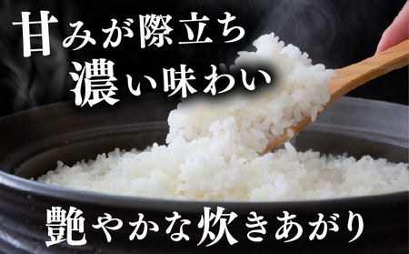  12月発送 令和7年産 新米 ゆめぴりか 5kg 精米 特A ブランド米 お米 うるち米 白 ごはん 炊き立て もちもち 備蓄 保存 ギフト 贈り物 人気 北海道産 お取り寄せ 農園 産地直送 ta