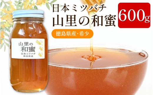 はちみつ 国産 日本みつばち 蜂蜜 600g ニホンミツバチ 純粋はちみつ 生はちみつ 百花はちみつ 百花蜂蜜 完熟 和蜜 天然 ハニー 瓶 美容 健康 ヨーグルト パンケーキ トースト 保存食 非常食 防災 菓子 産地直送 徳島県 三好市 みよし 森清秀