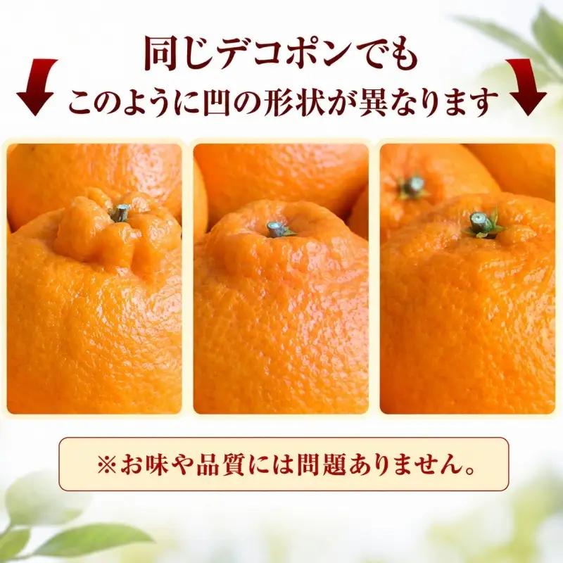 デコ不知火 約2.8kg/サイズおまかせ　※2027年2月上旬～2027年4月上旬頃に順次発送予定(お届け日指定不可)　紀伊国屋文左衛門本舗　【kstb421C】