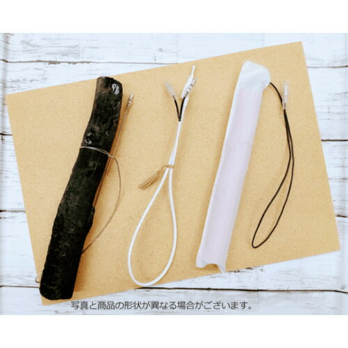 【ふるさと納税】植物発電実験キット N-Energy | 自由研究 実験 学習 夏休み 発電 自然エネルギー クリーンエネルギー 備長炭 グリーンエネルギー 株式会社ニソール 埼玉県 狭山市