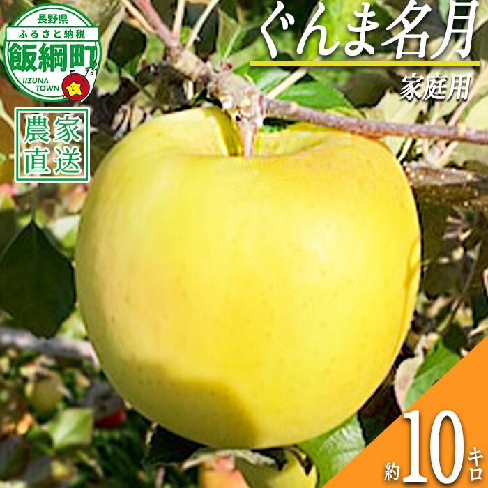【ふるさと納税】 りんご ぐんま名月 家庭用 10kg ファームトヤ 令和8年度収穫分 長野県 飯綱町 〔 信州 果物 フルーツ リンゴ 林檎 名月 長野 予約 農家直送 〕発送時期：2026年11月中旬〜2026年12月下旬 {**}