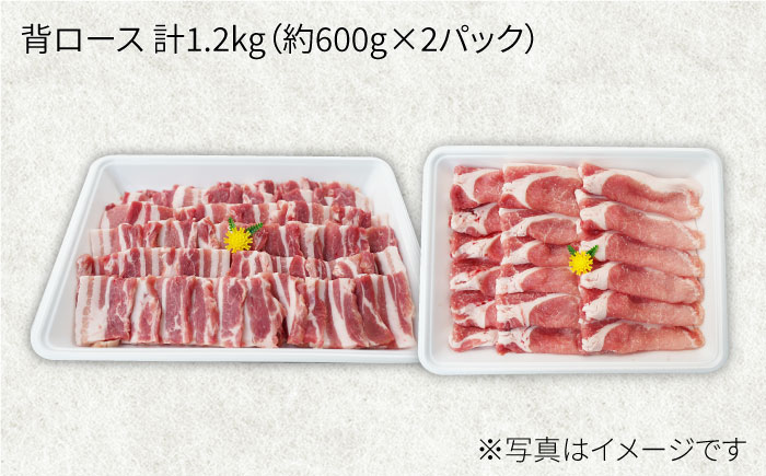 【月1回1.2kg×3回定期便】大西海SPF豚 背ロース（焼肉＆しゃぶしゃぶ用）計3.6kg 訳あり ＜大西海ファーム＞ [CEK098]