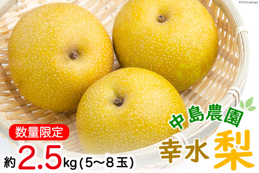 
BH004 【数量限定】 幸水梨 約2.5kg（5玉～8玉）【新鮮 / 農家直送 / 夏の味覚 / 贅沢宝庫 / フルーツ】
