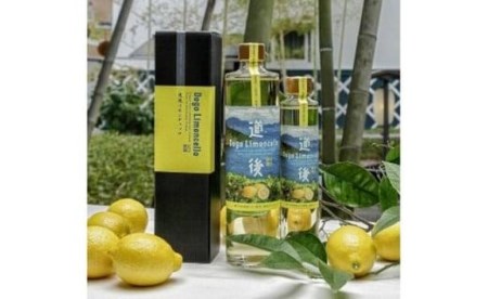 道後ジン・リモンチェッロセット おすすめ 人気 ギフト 酒 セット 愛媛県 松山市（GL-200）【MG025_x】