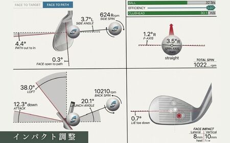 ゴルフクラブ 地クラブウェッジ２本お仕立券〈100000円分〉【エポンゴルフ、アーティザンなど】【piag0002】