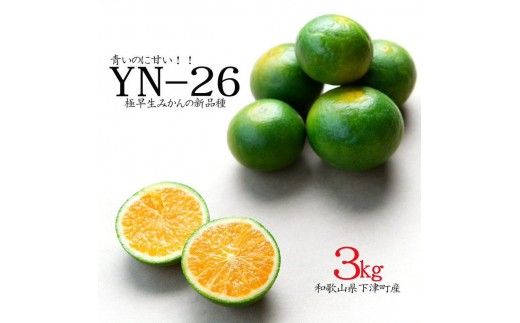 
                  極早生みかん YN26 約3kg 2S・S・Mサイズ 赤秀 和歌山県海南市産 農園直送 まごころ産直みかん 【9月より順次発送】【北海道・沖縄県・一部離島 配送不可】YN26 ゆら早生 和歌山 ミカン 蜜柑 果物 フルーツ 贈答用 少量サイズ 厳選［Mg33］
                