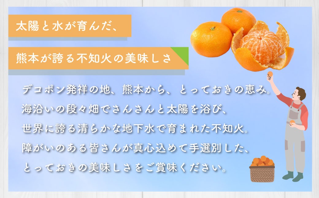 不知火（デコポンと同品種）【手選別まごころ選果】約2kg