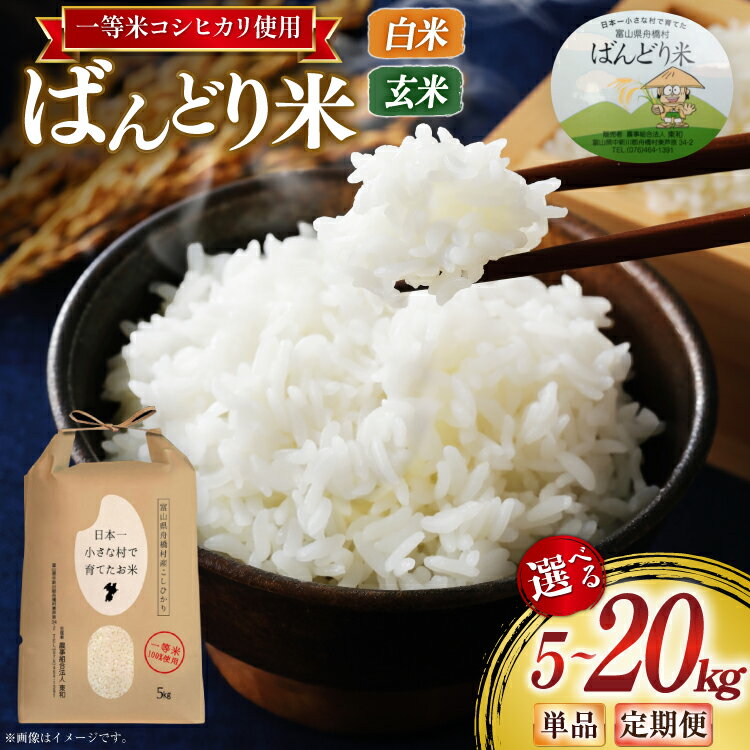 【ふるさと納税】 【期間限定発送】 米 コシヒカリ ばんどり米 選べる定期便・発送回数・容量 （ 5kg 10kg 20kg / 1回 3回 6回 ）[農事組合法人東和 富山県 舟橋村 57050206] こめ コメ お米 白米 玄米 精米 おこめ 定期 5キロ 10キロ 20キロ こしひかり