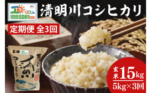 04-21【3ヶ月定期便】茨城県特別栽培認証 清明川コシヒカリ玄米 5㎏【令和6年産新米】【米 おこめ こしひかり  特別栽培米 農家直送 直送 茨城県 阿見町】