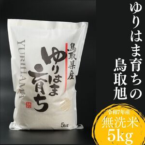 無洗米 5kg 白米 鳥取旭 鳥取県産 令和7年産 ゆりはま 育ち | 375K