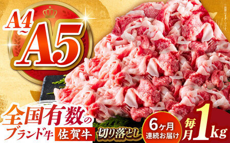 ＜全6回定期便＞佐賀牛切り落とし500g×2パック HCS033 切り落とし