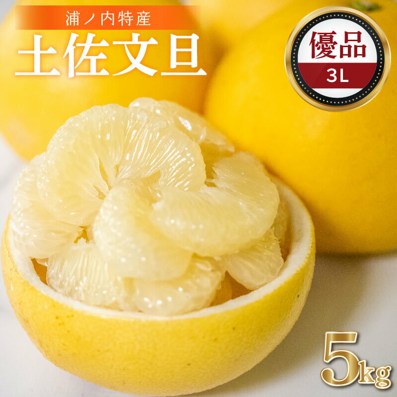【早期予約開始!!2026年2月頃より順次発送【ふるさと納税】 浦ノ内特産 土佐文旦 5kg 優品 3L サイズ | みかん 蜜柑 柑橘 文旦 大玉 5キロ 明神果樹園 人気 ランキング 数量限定 期間限定 高知県 須崎市 ふるさと納税果物 MKJ007_xx