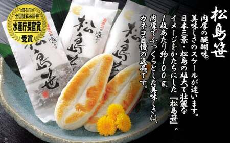 かまぼこ カネコの笹かま特選詰合せセット 笹かまぼこ ＆ かまぼこ珍味3種