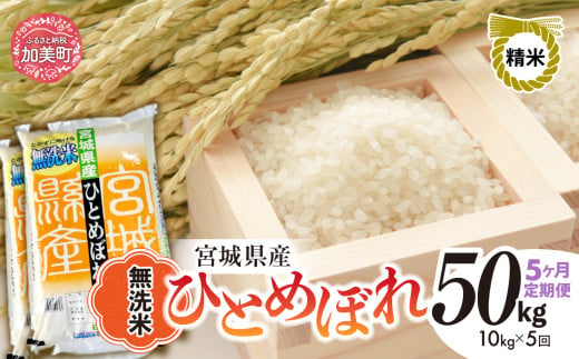 【5回定期便】R7 宮城県産 ひとめぼれ 無洗米 10kg×5回 [ 宮城県 加美町 菅原精米 ] 米 こめ コメ ご飯 sw-hb10-mu-t5-r7