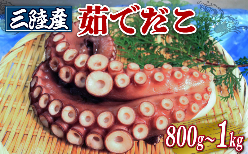 
三陸産 茹でだこ 800g～約1kg たこ タコ ゆでたこ ゆでだこ 冷凍 海鮮 魚貝類 魚介類 唐揚げ たこ焼き たこ飯 真空パック チョイス限定 三陸 岩手県 大船渡市
