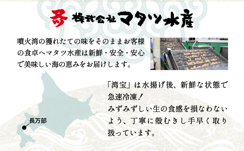 湾宝ホタテ貝柱　500g　4Sサイズ（25～30玉）【170022】