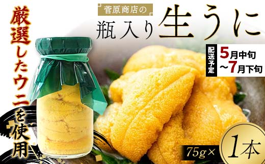 【2026年先行予約】菅原商店の生うに75g 1本【令和8年5月中旬～7月下旬配送予定】【配送日指定不可】【沖縄・離島配送不可】 三陸山田 山田町 牛乳瓶 海産品 無添加 ミョウバン不使用 雲丹 海栗