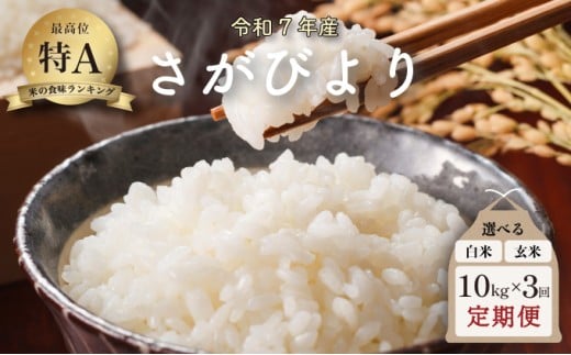 【2026年2月配送】令和7年産 さがびより 10kg×3回定期便 ／米 お米 返礼品 飯 ごはん 弁当 銘柄米 白米 県産米 佐賀県産 国産米 精米 ブランド米 おにぎり 国産 食品 人気 おすすめ ふるさと納税米 精白米 主食 ご飯