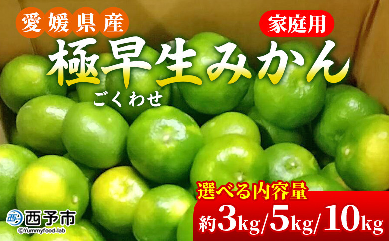 
            先行予約＜愛媛県産 極早生みかん 約3kg/約5kg/約10kg ご家庭用＞ 温州みかん 家庭用 訳あり 果物 ミカン 柑橘 フルーツ 選べる 食べて応援 特産品 段畑みかん 愛媛県 西予市【常温】『2025年9月中旬～10月中旬迄に順次出荷予定』
          