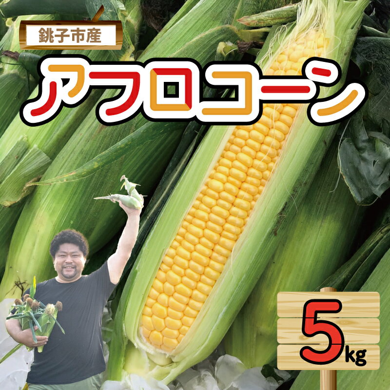 【ふるさと納税】 【先行予約】 とうもろこし アフロコーン 約5kg （2026年7月上旬～8月上旬配送） 野菜 銚子産 千葉県産 コーン 旬の野菜 旬の味覚 甘い 生野菜 サラダ スイートコーン 夏野菜 コーン スープ 産地直送 鮮度抜群 送料無料 千葉県 銚子市 くるくるやっほー