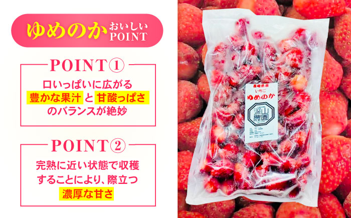 【完熟の恵み、ぎゅっと冷凍！】冷凍いちご「ゆめのか」 Sサイズ 1.5kg(500g×3) / いちご イチゴ 苺 冷凍 冷凍いちご 冷凍フルーツ イチゴジャム / 諫早市 / むらたサービス [AH