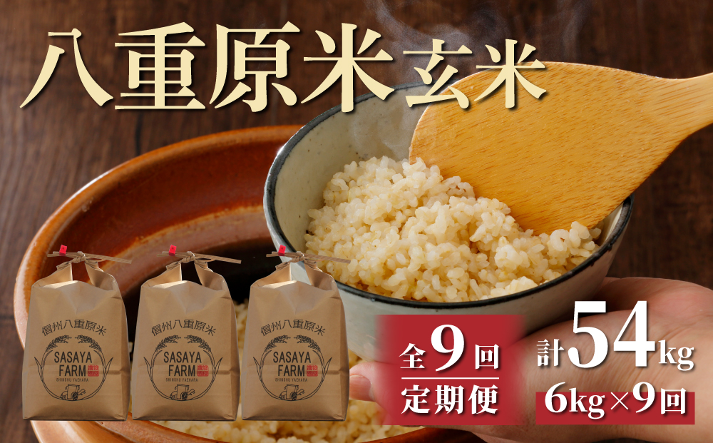 【9回定期便】 八重原米6kg（2kg×3袋）玄米