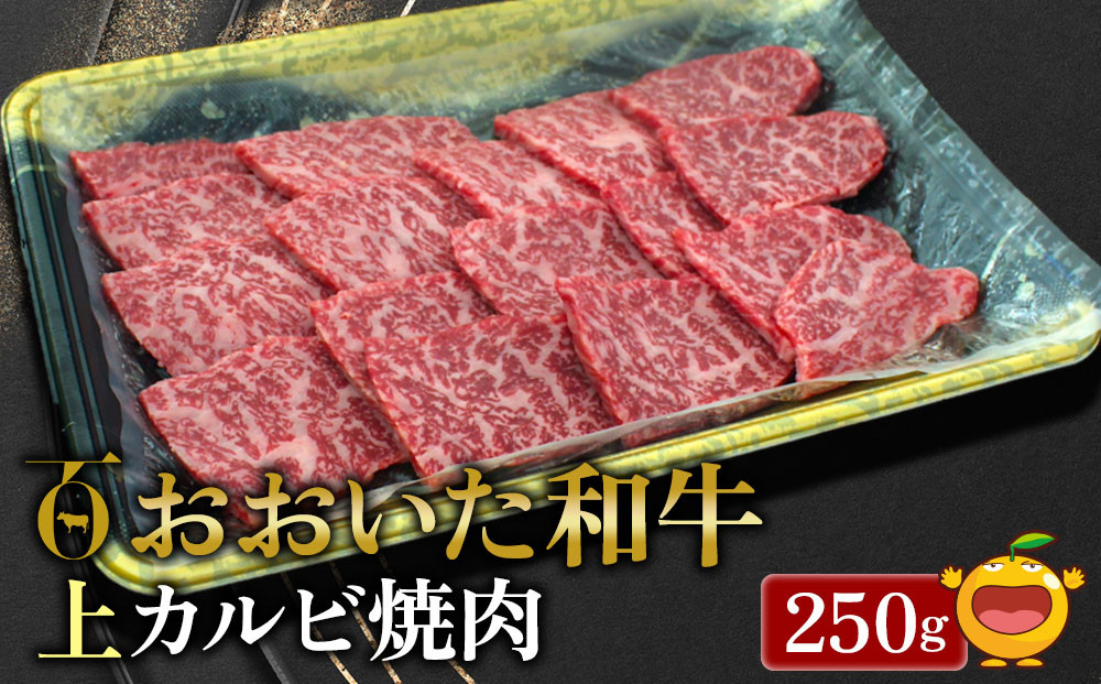 
おおいた和牛 上カルビ 250g 牛肉 和牛 ブランド牛 黒毛和牛 赤身肉 焼き肉 焼肉 バーベキュー 大分県産 九州産 津久見市 熨斗対応
