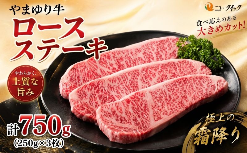 
                  やまゆり牛　ロース　ステーキ　250g×3枚 ／ 肉 牛肉 牛 国産 ブランド牛 かながわブランド 旨味 風味 柔らかい 神奈川県 No.1073
                