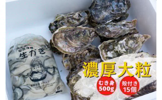 【予約商品】牡蠣 詰め合わせ 殻付き 15個 むき身 500g 広島県産 新鮮 全国配送  濃厚リピート【配送不可：離島】【配送時期：1月上旬～3月下旬】