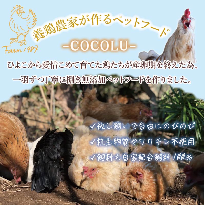 養鶏農家が本気で作るペットフード【COCOLU】鶏肉ミンチ300g 3袋 愛犬 愛猫 ペットフード 冷凍 フード ペット おやつ 犬 猫 ごはん 鶏肉 無添加  国産 肉 ドックフード キャットフード ミンチ アローカナ 養鶏 伊豆 下田 静岡